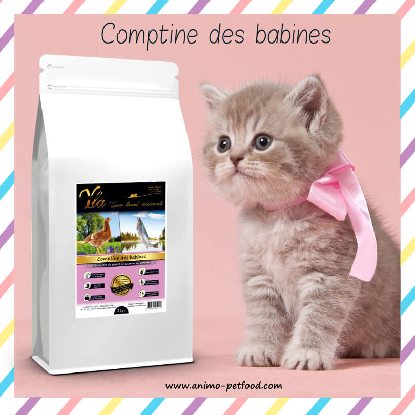 croquettes sans céréales pour chaton